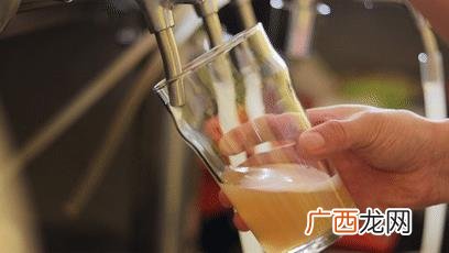 优布劳精酿啤酒多少钱一瓶 优布劳精酿啤酒加盟官网