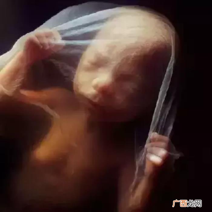 一组图看完人类诞生全过程 人类是怎样造孩子的