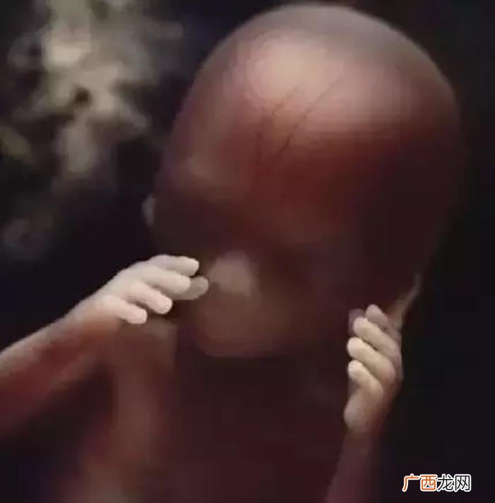 一组图看完人类诞生全过程 人类是怎样造孩子的