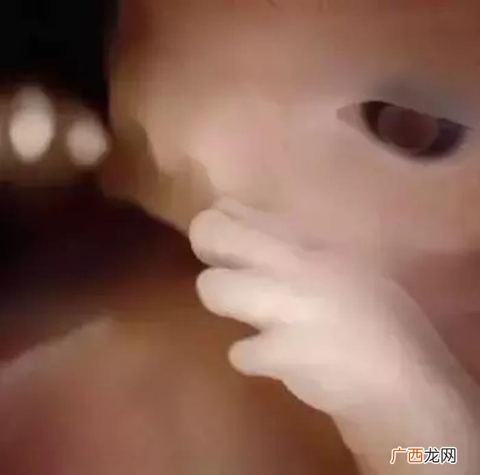 一组图看完人类诞生全过程 人类是怎样造孩子的