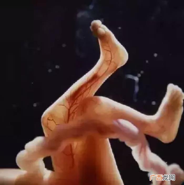 一组图看完人类诞生全过程 人类是怎样造孩子的