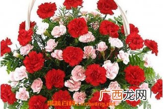 康乃馨怎么养殖 康乃馨的养殖方法和注意事项