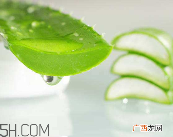 自然乐园芦荟胶成分 自然乐园芦荟胶保质期
