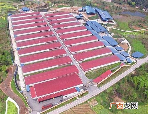 养殖合作社 养殖场还是养殖厂