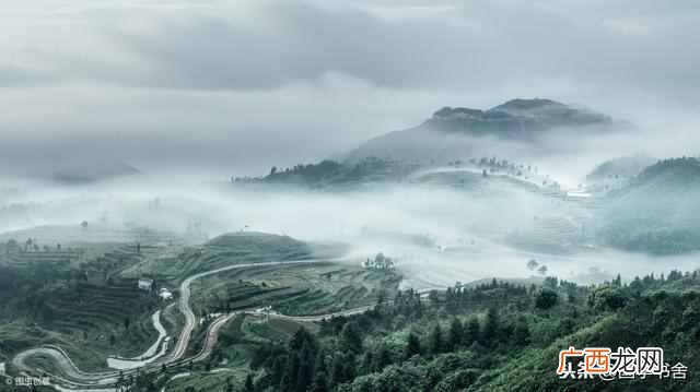 谏言是什么意思（《道德经》：明白老子的谏言