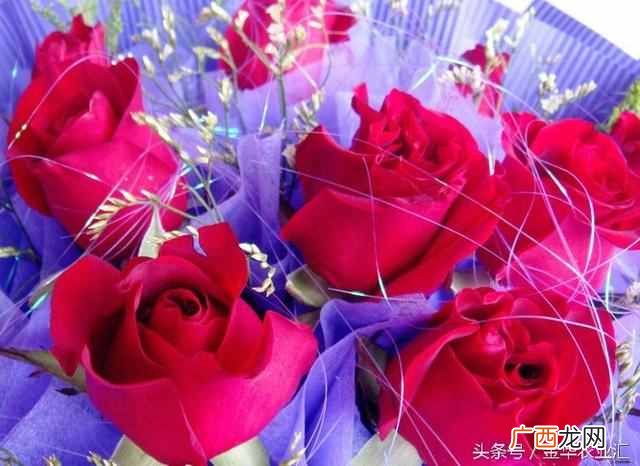 最全玫瑰花花语 999朵玫瑰代表什么