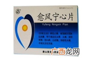 愈风宁心片多少钱？愈风宁心片贵不贵？