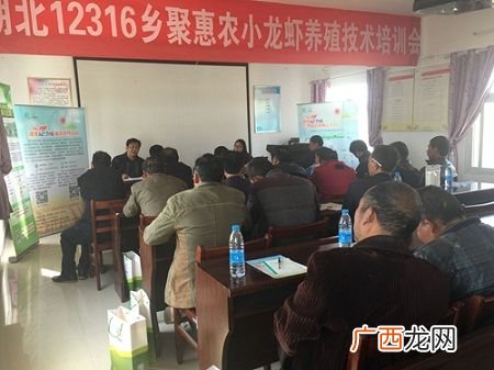 养鸡技术培训 养殖技术培训网