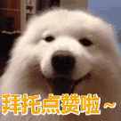 仙人板板是什么意思（四川话仙人板板是说什么