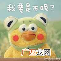仙人板板是什么意思（四川话仙人板板是说什么