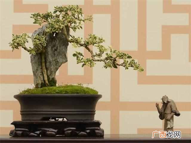 朋友搬家送什么礼物好（教你挑选最吉祥适合的