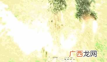 士兵突击中剧情解析 史今为什么退伍