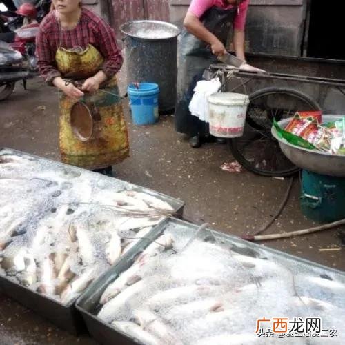 卖什么赚钱最快,现在卖什么最火最赚钱