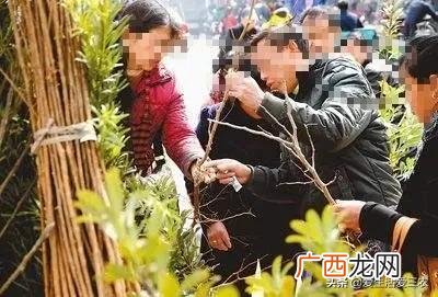 卖什么赚钱最快,现在卖什么最火最赚钱