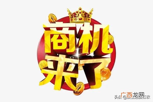 卖什么赚钱最快,现在卖什么最火最赚钱