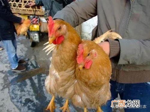 卖什么赚钱最快,现在卖什么最火最赚钱