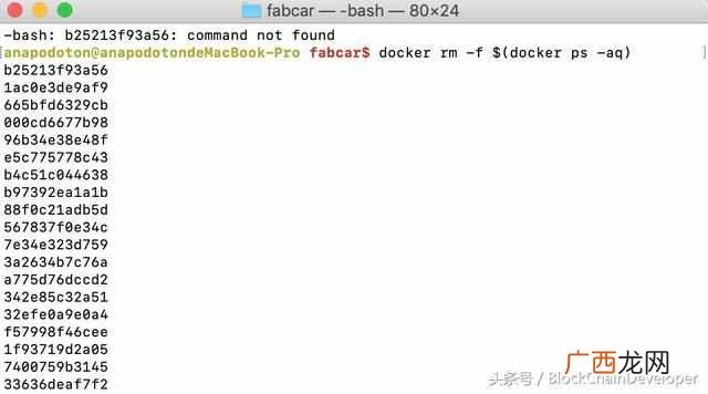 Fabric教程之编写应用程序 fabric是什么意思