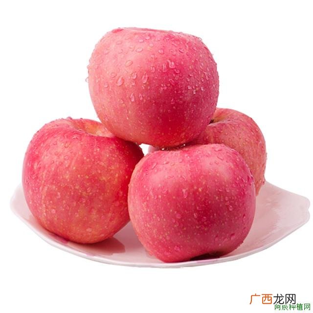 葡萄柚要怎么种？这里有方法