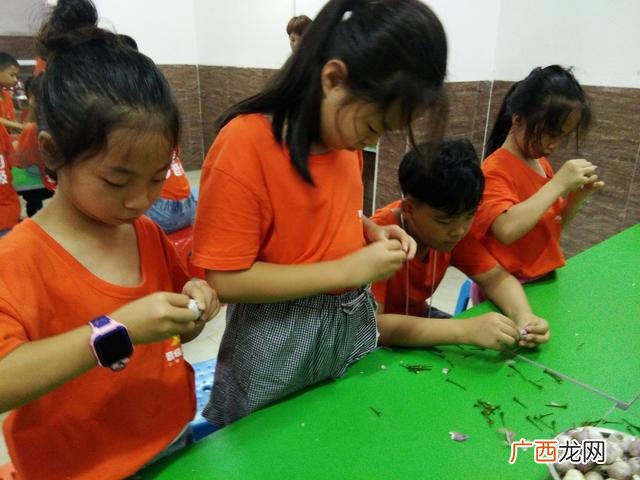 开设幼小衔接,如何开办幼小衔接班