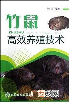 竹鼠养殖基地在哪里 竹鼠养殖有补贴吗
