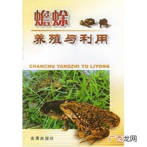 野生蟾蜍和养殖蟾蜍的区别 蟾蜍养殖许可证