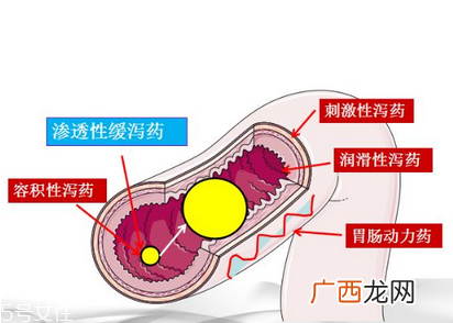 泻药吃了多久后开始排便？