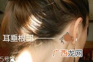 晕车贴贴哪里？晕车贴贴哪里示意图