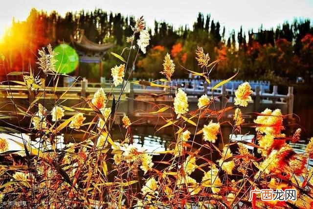 元年是什么意思，公元元年是如何确定的