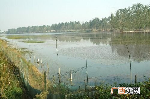 大水面养殖场评估 大水面养殖建设