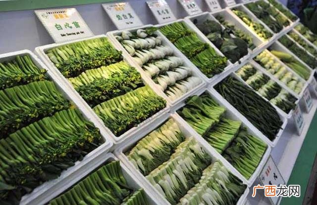 3千元在家办厂,小本投资办厂有好项目吗