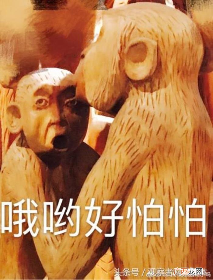 表情包大战，一场具有文化底蕴的表情包大战告诉网友