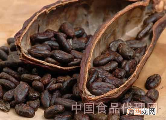 可可粉有什么成分及作用 可可粉是什么东西
