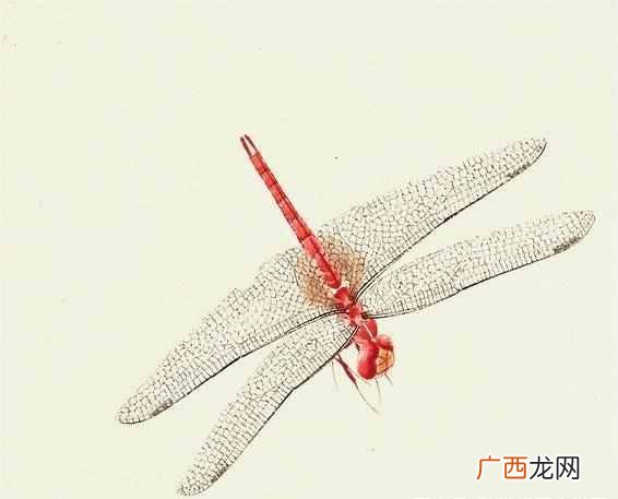 齐白石的传奇故事 齐白石擅长画什么