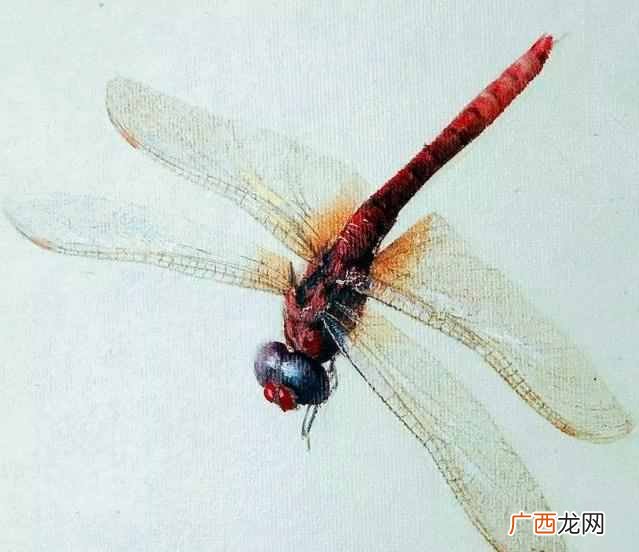 齐白石的传奇故事 齐白石擅长画什么