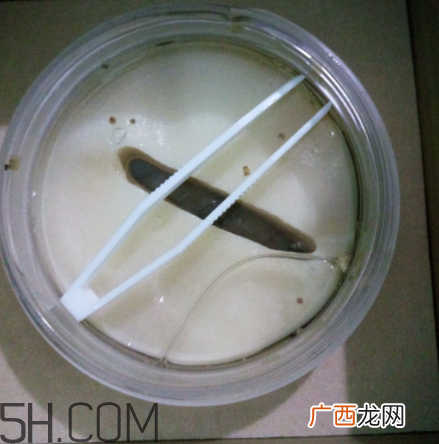 膜法世家金桂花眼膜怎么样？膜法世家金桂花眼膜好用吗？