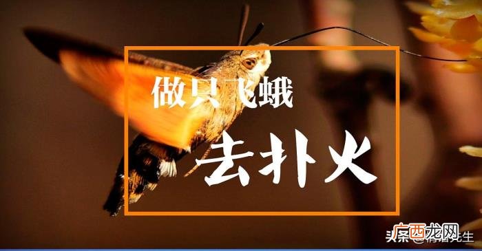 女生的这四个生理反应和动作 女性生理反应