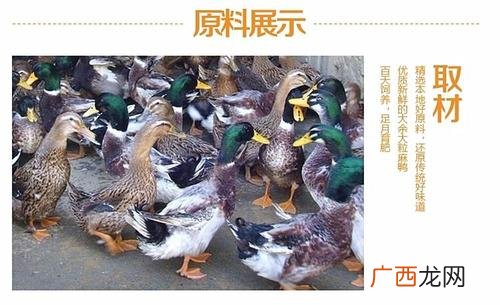 养鸭大棚价格 大余鸭养殖视频