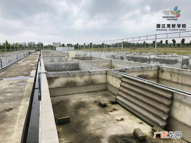 养殖龙虾 水库小龙虾怎么养殖