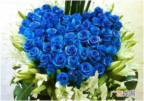 蓝色玫瑰是什么花语 蓝色玫瑰代表什么