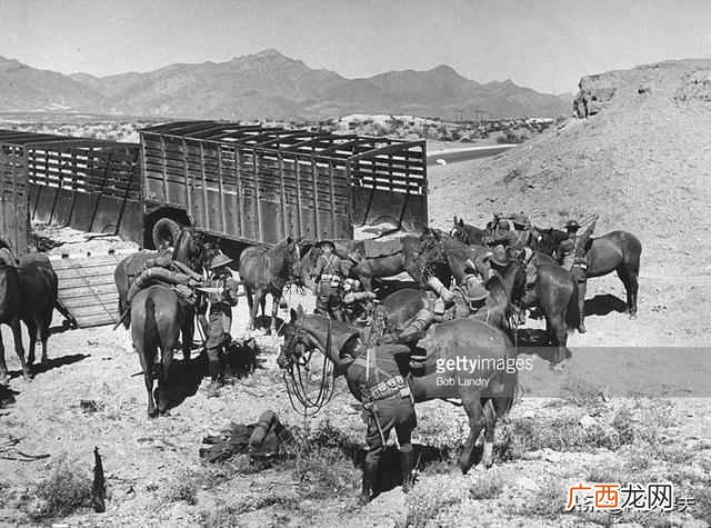 步兵骑兵什么意思(骑兵和步兵的行军速度到底