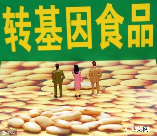 转基因食品都有哪些特点 什么是转基因食品
