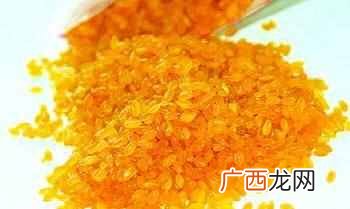 转基因食品都有哪些特点 什么是转基因食品