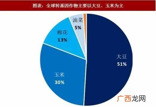 转基因食品都有哪些特点 什么是转基因食品
