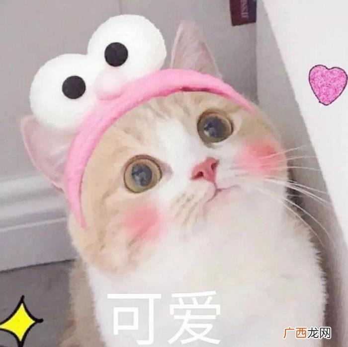 男生眼里的可爱标准，你好可爱意味着什么
