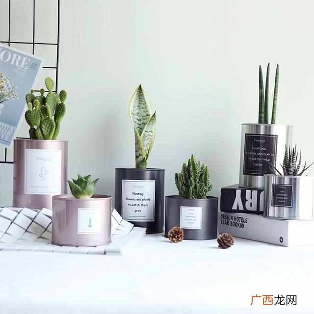 最适合的礼物大全 教师节送老师什么礼物好