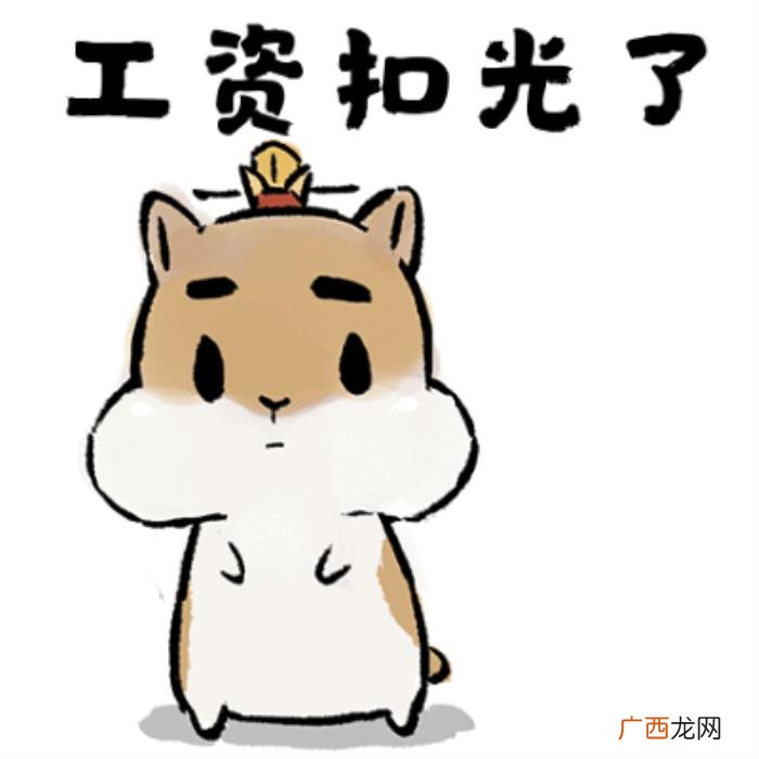 工资的搞笑动图表情包 钱的图片搞笑