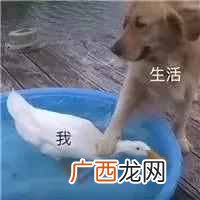 卷发棒一般多少钱一根（推荐几款平价好用的卷