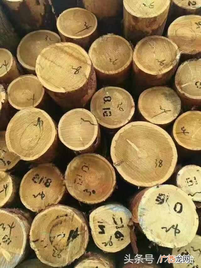 落叶松 落叶松板材价格，木材学习站-小课