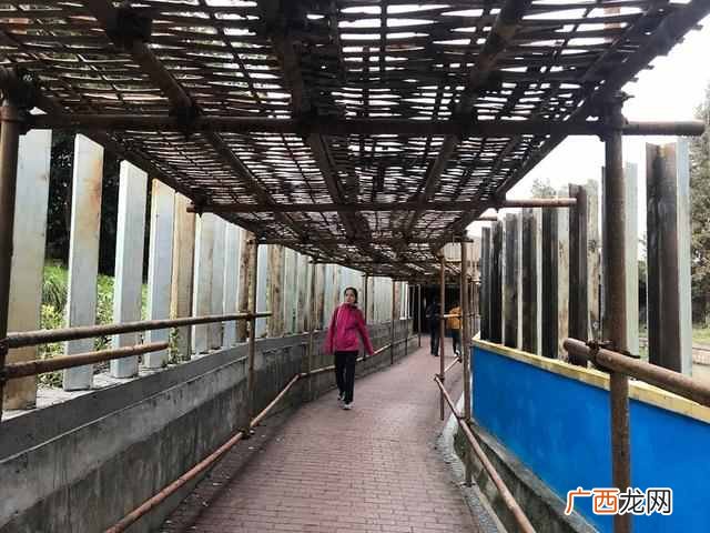 上海金地格林公馆房价是多少（上海金地格林公