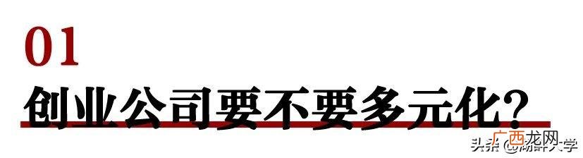 创业计划书执行总结不包括 创业的本质在于发现并把握商业机会